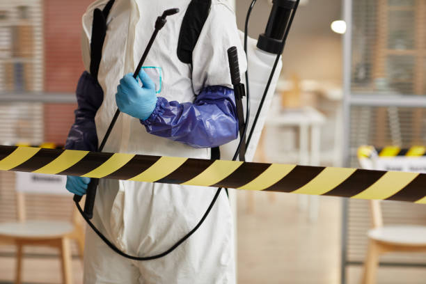 Professional Sewage Cleanup technician working in Calverton, MD